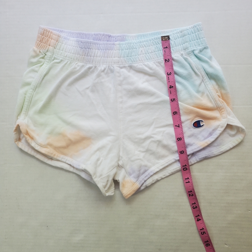 Champion - Picture 9 of 15